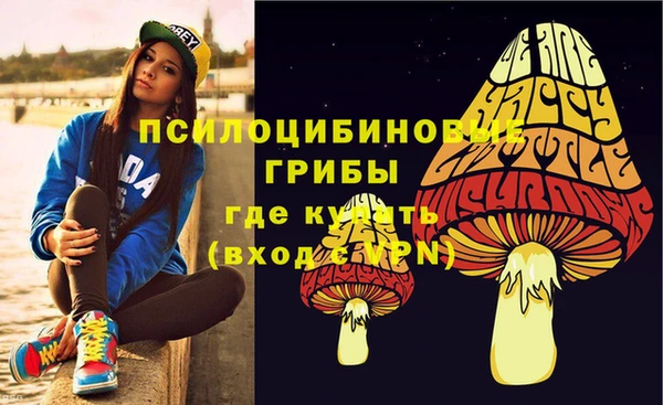 молекула духа Вязники