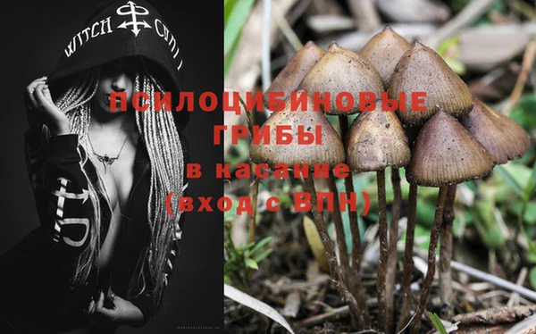 молекула духа Вязники