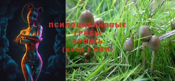 прущая мука Переславль-Залесский