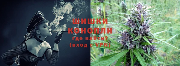 молекула духа Вязники
